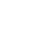 Vaultech